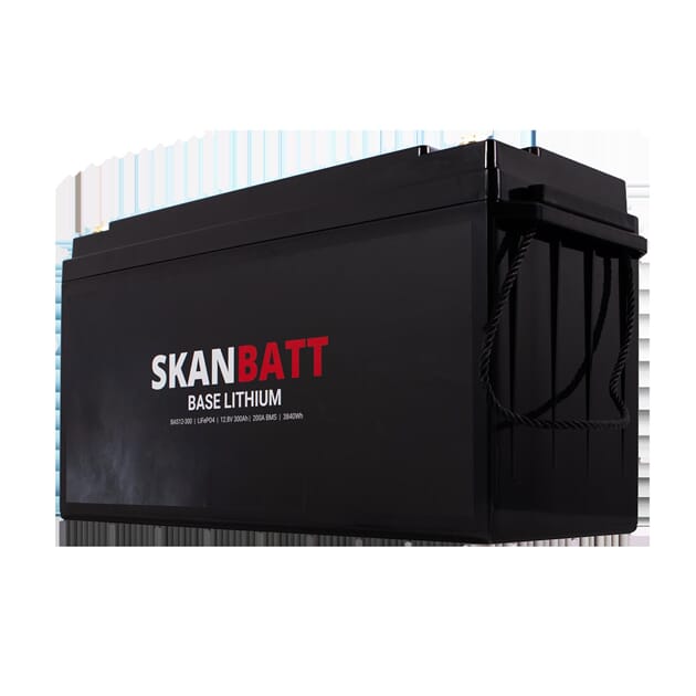 BAS12-300_Rel BAS12-300-4.jpg