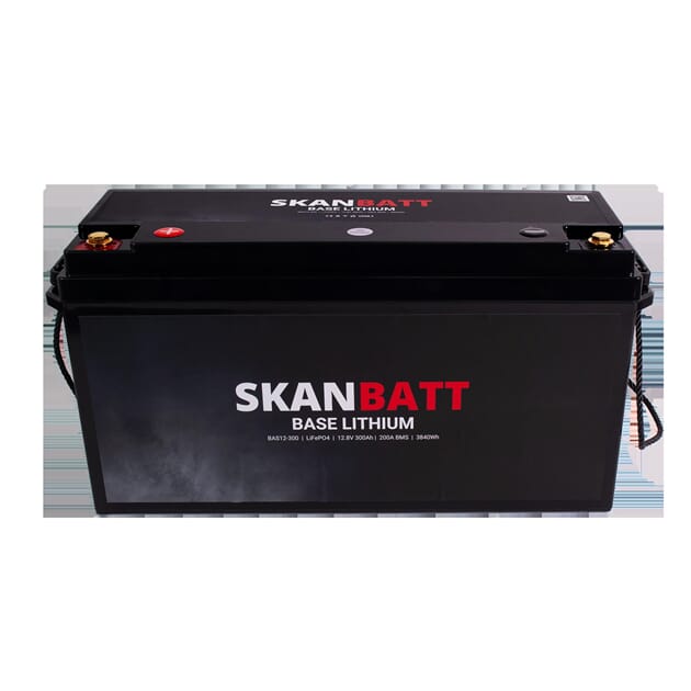 BAS12-300_Rel BAS12-300-5.jpg