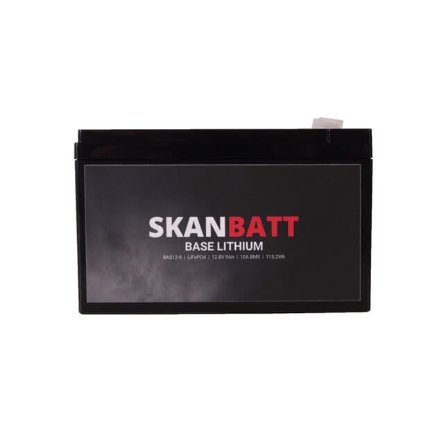 BAS12-9_Rel BAS12-9-5.jpg