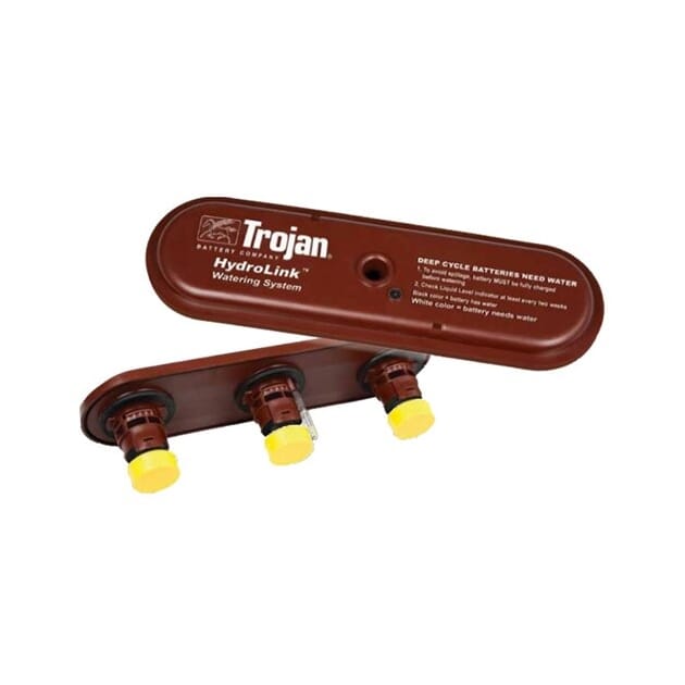 29274656 29274656.jpg